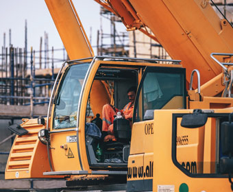 林下经济与中药产业